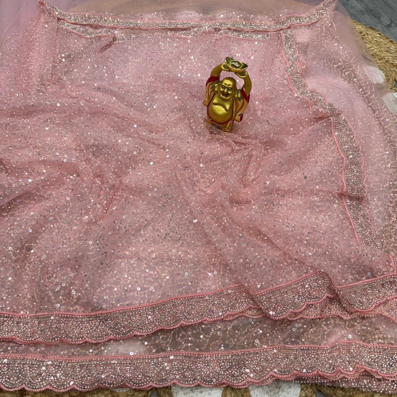 Soft net sequence and beeds embroidery saree