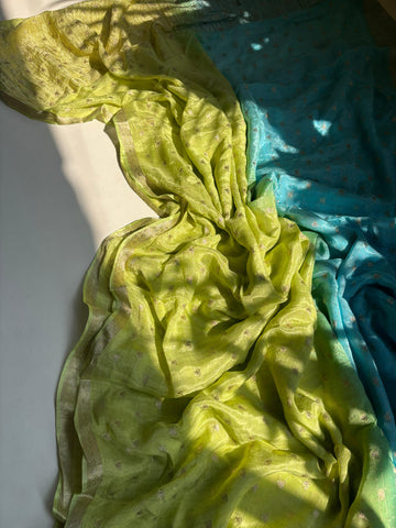 dual shade chinnon sarees